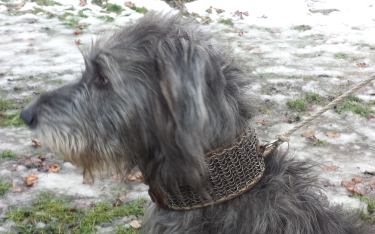 Boudica wearing her mailcollar of riveted round rings